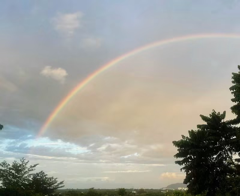After the Rain
