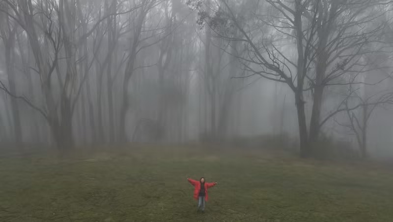 Nothing to See — So I Went&nbsp;Anyway