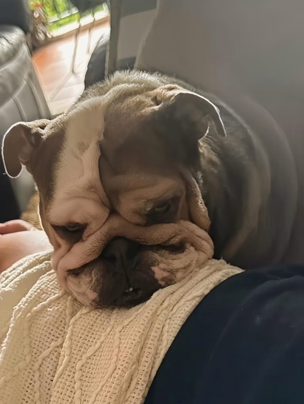 That Face Only a Mother Could Love 